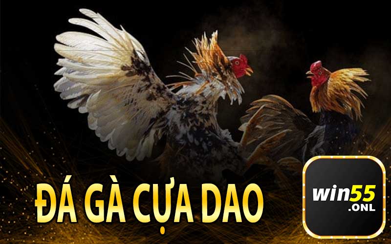 Giới Thiệu Tổng Quan Về Đá Gà Cựa Dao